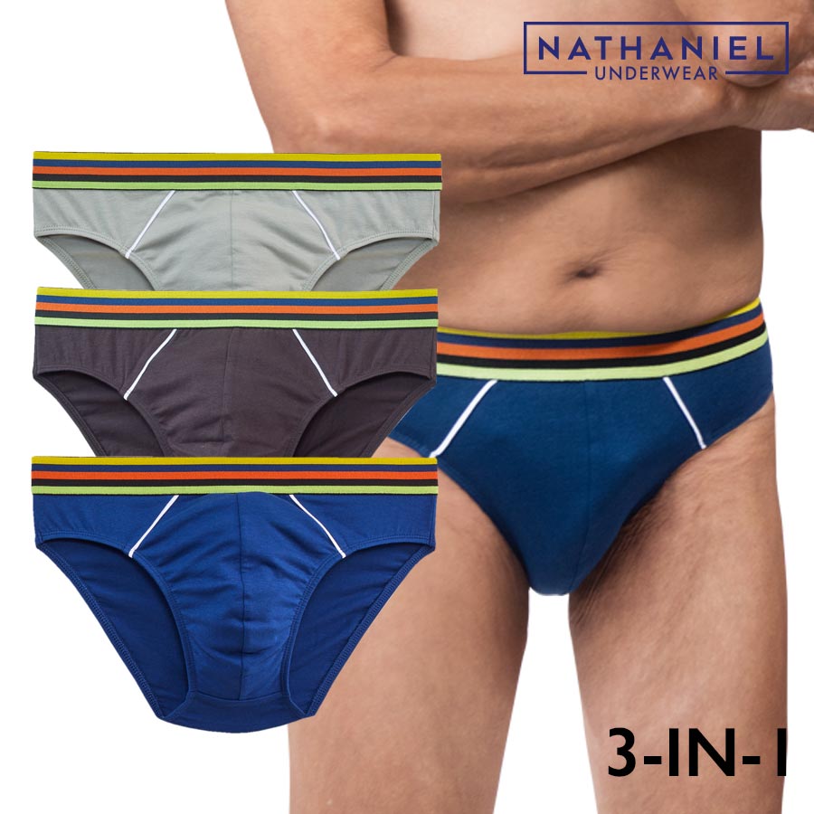 Guillermo Men's Multicolor 3-in-1 Bikini Brief - Nathaniel