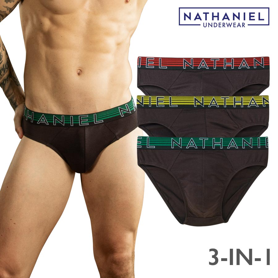 Felippo Men's Multicolor 3-in-1 Bikini Brief - Nathaniel