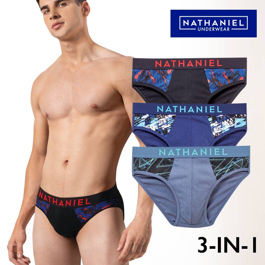 Ardimen Mens 3-in-1 Bikini Brief - Nathaniel