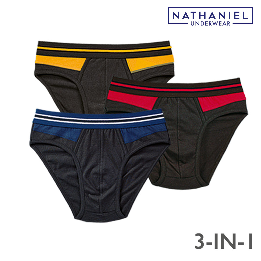 Alesandro 3in1 Bikini Brief - Nathaniel