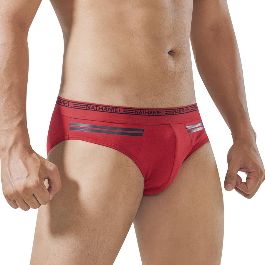 Abraham 5in1 Bikini Brief - Nathaniel