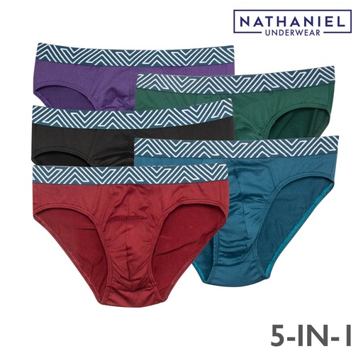 [Stora:Ad-Sm.XL.Me.La.00333] Te173 Men's 5in1 Bikini Brief - Nathaniel